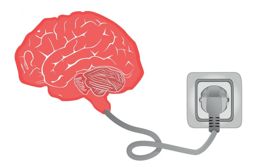 brain